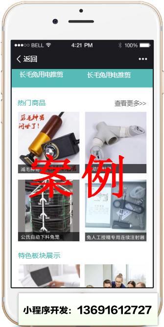 互聯網+時代丨開發微程序小程序截圖